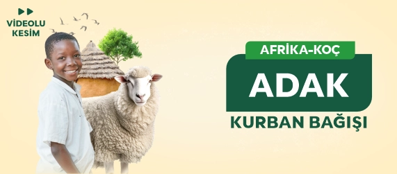 Yurtdışı Küçükbaş